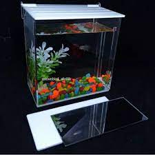 Bagian yang transparan digunakan untuk memelihara ikan, bagian lainnya untuk tempat tanaman hias. Jual Aquarium Ikan Hias Jakarta Barat Bazar Fashion2 Tokopedia