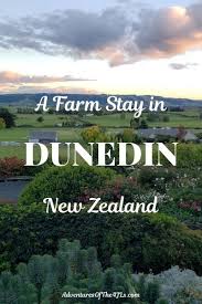 A Farm Stay In Dunedin New Zealand With Kids In 2020 Farm Stay Travel Inspiration Destinations World Travel Guide