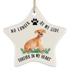 Amazon.com: Nombre personalizado Chiweenie Castaño perro Navidad adornos no  más por mi lado Forever in My Heart cerámica estrella : Hogar y Cocina