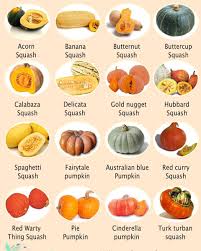 Citrouille Potiron Potimarron Courge Cucurbitaceae Giraumon Coloquinte Calebasse Courgemusquee Courgedesiam Potiron Citrouille Courge De Siam