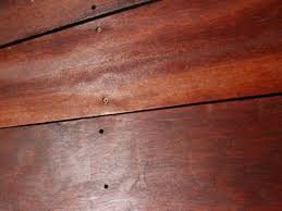 Image result for site:byggahus.se ädelträ