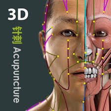 get visual acupuncture 3d human microsoft store