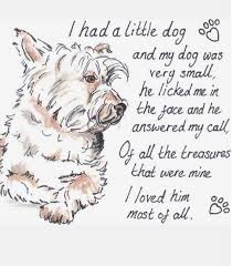 Some people find grief following the loss of a pet comes in stages, where they experience different feelings such as denial, anger, guilt, depression, and eventually acceptance and resolution. Pet Grief Poems
