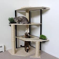 Merve Eksi Adli Kullanicinin Pet Ideas Panosundaki Pin Kedi Agaclari Kedi Evi Evcil Hayvan Yataklari