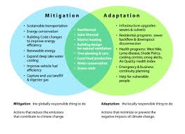 Vocabulary Mitigation Climate Change Mitigation Are Actions To Limit The Magnitude And Or Rate Of Long Term Climate Change Improve Energy Energy Conservation
