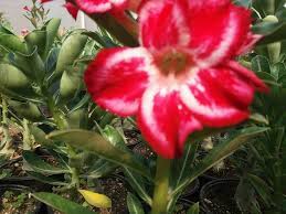 Vivero Lm Home Facebook