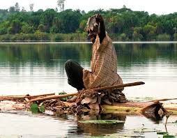 Image result for Vernonia ituriensis