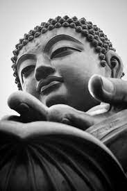 Buddha wallpaper iphone 7 plus. Black Pinterest Buddha Wallpaper Novocom Top