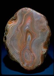 Agate From Minnesota United States C Photo By Chip Clark In 2020 Agate Rocks Minerals And Gemstones Crystals And Gemstones