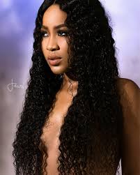 Image result for Erica wildii