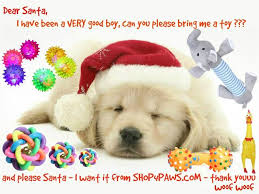 Shop 4 Paws Paw Pet Accessories Dear Santa