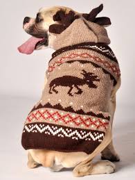 Antlers for dogs are healthy and natural dog chews. Moosey Dog Sweater By Chilly Dog Cute Dog Sweaters At Glamourmutt Com