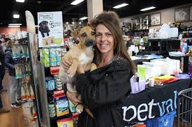In our store you will find a large showroom with pure and designer breed puppies. Meet The Woman Who Drives 800 Miles In An Rv To Bring Rescue Dogs To N J Nj Com