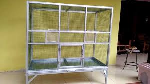 17 cara ternak lovebird koloni mudah bagi pemula. Desain Kandang Burung Lovebird Koloni Tentang Kolam Kandang Ternak