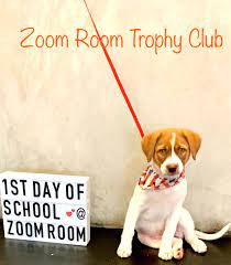 pin by zoom room on activities for dogs and dog lovers 1st day of school trophy club indoor dog