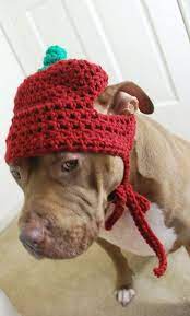 Apple Dog Hat For Large Dogs Crochet Crochet Dog Dog Hat Dog Sweaters