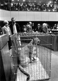 The state of florida sees millions of commuters each year. Throwback Thursday Florida Panther Named State Animal 1982