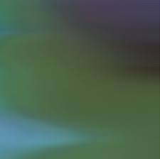 Image result for Zygotritonia atropurpurea