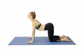 Hohe qualität, große auswahl und faire preise. 6 Beginner Friendly Yoga Poses For Back Pain Yogiapproved Com