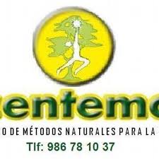 Image result for Centema