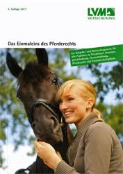 Check spelling or type a new query. Die Eigentumsurkunde Ist Kein Kfz Brief Bolwindokters Rechtsanwalt Steuerberater Insolvenzverwalter Notar Emsdetten