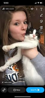 At west school playground red collar n has tags