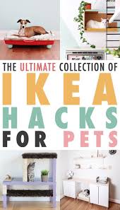 The Ultimate Collection Of Ikea Hacks For Pets Ikeahacks Ikeahack Ikea Petikeahacks Pets Dogikeahacks Catikeahack Ikea Cat Ikea Dog Diy Ikea Hacks