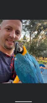 Andy would have been 67