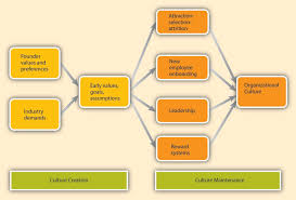 Organizational Culture