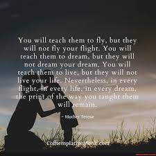 You Will Teach Them To Fly But They Will Not Fly Your Flight You Will Teach