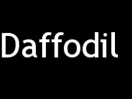 &c., and of hardy flowers and bulbs, as lily of the valley, hyacinths, tulips, daffodils, &c., should be kept up by forcing. How To Pronounce Daffodil Youtube