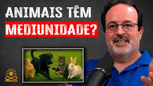 Alberto Cabral Reveals: The Hidden Spirituality of Animals