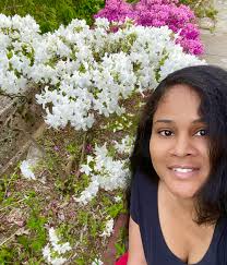 Pink azalea blooms in spring garden