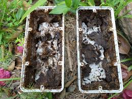 The hills private hospital on windsor road includes emergency services for private patients and has a very large maternity ward. Termite Management