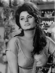 Unsalted butter 1 small stalk celery, roughly chopped 1/2 onion, roughly chopped salt. Sophia Loren Wearing A Scoop Neck Blouse In A Portrait Photo Movie Star News Allposters Com