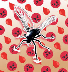 Five tricks to avoid sandfly bites this summer - NZ Herald