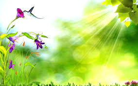 Maybe you would like to learn more about one of these? Digital Photo Of Green Leaf Flower With Purple Flower Birds Hd Wallpaper Wallpaper Flare
