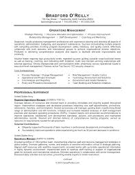 Here To Download This It Security Professional Resume Template ...