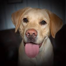 My 3 year old Lexi!!!!