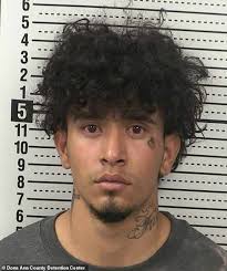 Judge resigns after being caught harboring illegal Venezuelan gangster at  family home