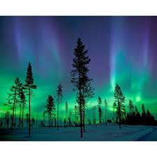 Unbranded Aurora Borealis Northern Lights Wall Mural Wr50512 The Home Depot Northern Lights Wall Mural Aurora Borealis Northern Lights Northern Lights Art