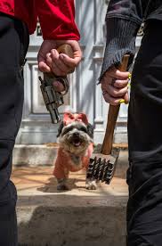 Bildergalerie Tatort: Der letzte Schrey