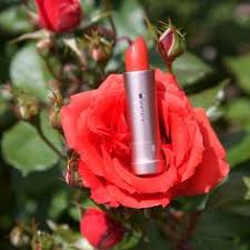 Hi, i'm from poland, i like to photograph nature and cacti from my collection. 20 Truly Natural Beauty Blog Posts Ideas Organic Beauty Green Beauty Beauty Blogger