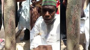 Fauziya iskanci / amara kirjin biki complete gidan novels. Jaruman Kannywood Sun Fara Tsokanar Sadeeya Kabala Akan Siyar Da Kifi Da Ta Fara By Idon Gari Tv