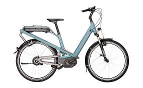 Riese Und Muller Culture Vario 2019 26 Zoll Gunstig Kaufen Fahrrad Xxl