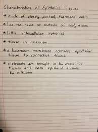 Characteristics Of Epithelial Tissues Anatomy And Physiology Textbook Medical School Motivation How To Study Anatomy