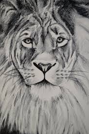 My Sister Could Prob Draw This She Really Good Ink Illustrations Drawings Animal Drawings