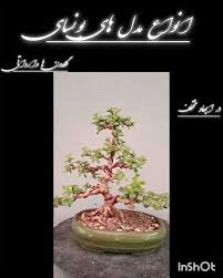 Image result for pokoutnik st job 