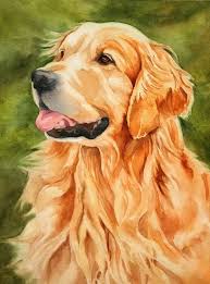 Now, since you are the beginner, you must have painted mostly on plain drawing paper. 60 Easy Watercolor Painting Ideas For Beginners Artistic Haven