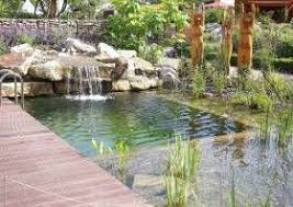 Faq Welcher Unterschied Besteht Zwischen Schwimmteich Und Oko Pool Auch Bi Diy Garten Ideen Schwimmteich Naturschwimmbecken Natur Pool